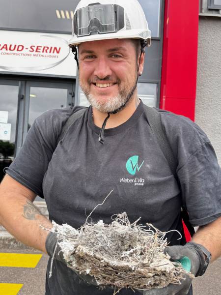 Comment les Pigeons créent leur Nid : Comportement et Nidification à Toulouse en Haute-Garonne