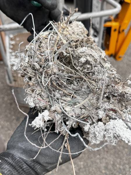 Nid de pigeons composé de déchets végétaux et de câble en fer