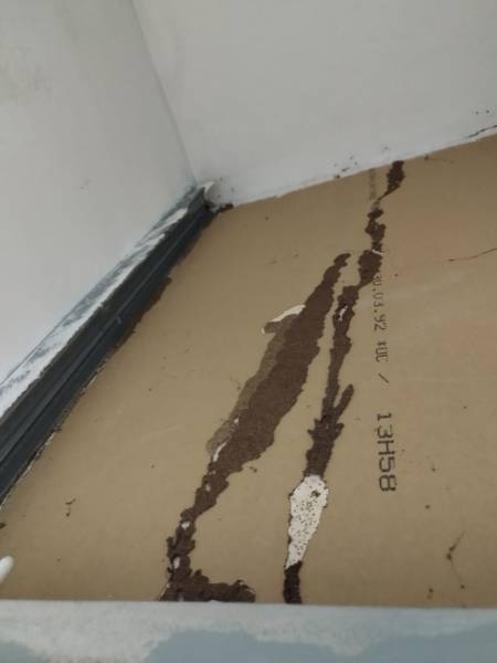 Desinsectisation termites dans le mur en Occitanie