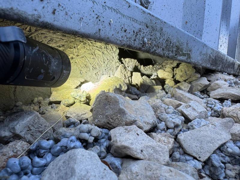 Les rats ont attaqué le béton du bardage