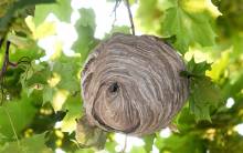 Nos prestations sur le secteur de Toulouse en Haute-Garonne 31000