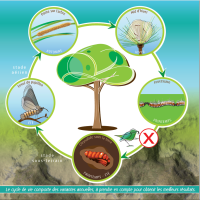 Notre zone d'activité pour ce service Service d’extermination des rongeurs avec pièges mécaniques et appâts non toxiques pour bureaux et entrepôts à
