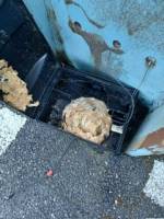 Notre zone d'activité pour ce service Traitement professionnel contre les microbes et le COVID avec produits écoresponsables pour industries et entrepôts à