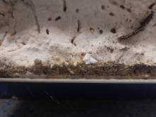 Nos prestations sur le secteur de Bordeaux en Gironde 33000