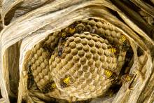 Notre zone d'activité pour ce service Dératisation en urgence pour intervention en entreprise agroalimentaire à